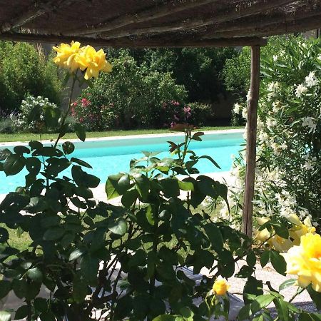 Agriturismo Lupo Vecchio غروسيتو المظهر الخارجي الصورة