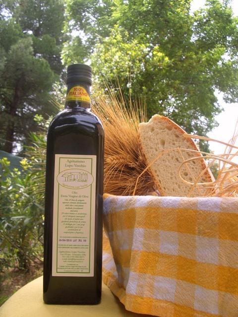 Agriturismo Lupo Vecchio غروسيتو المظهر الخارجي الصورة